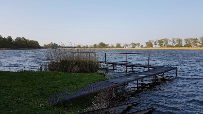 Pałac w Kobylnikach