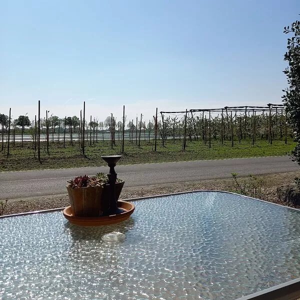 Apartment in a quiet location, in the middle of orchards on the outskirts of