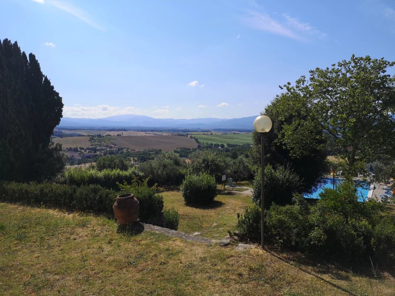 Azienda Agricola Il Palazzaccio