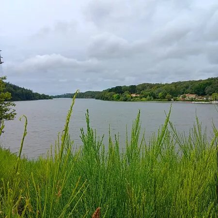 Le Lac Du Jaunay