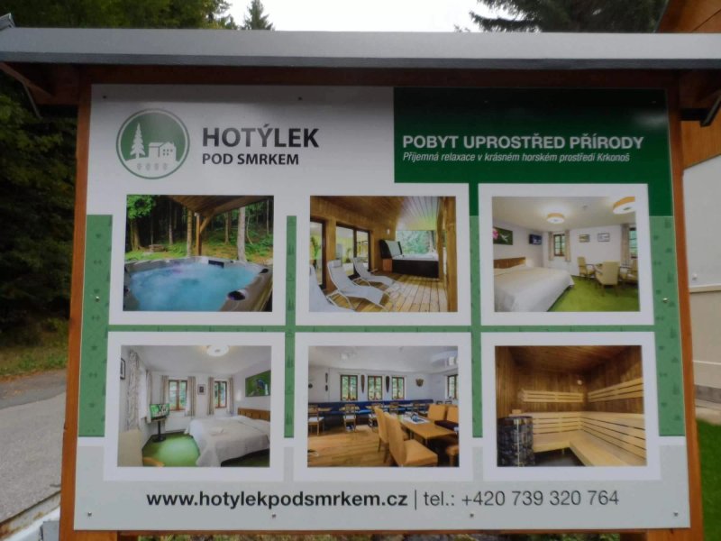Hotylek pod smrkem