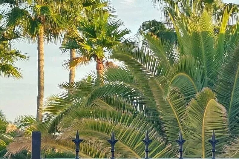 Casa Jaime, 2 bedrooms, 2 bathrooms villa with private pool & mountain views.
