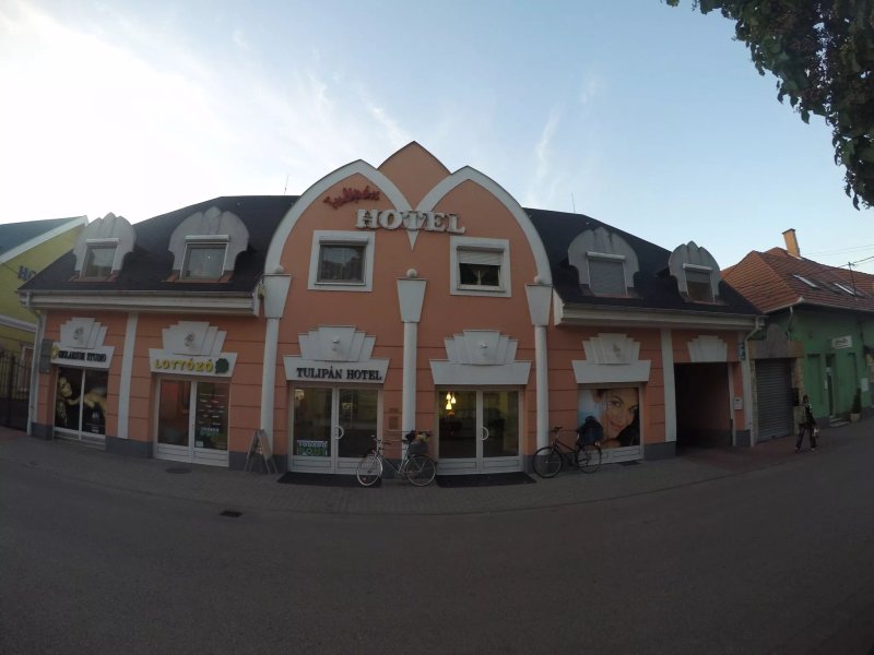 Hotel Tulipan