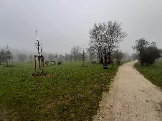 Parco Giardino Don Renzo Forconi
