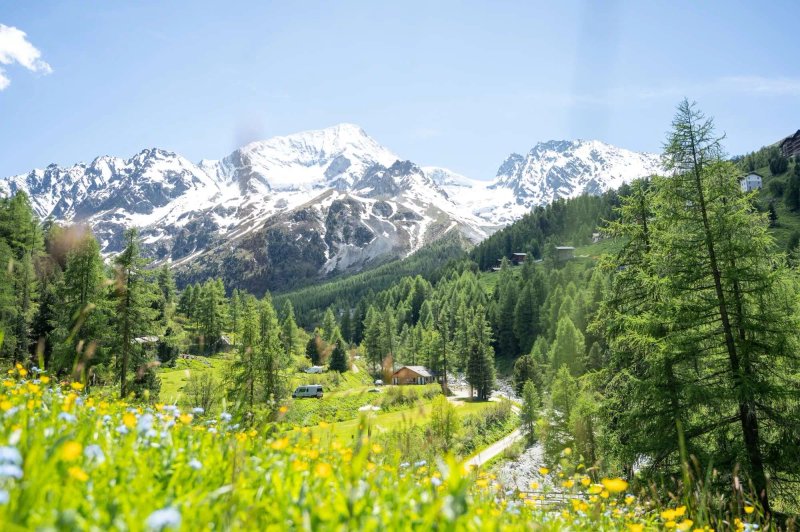 Camping Arolla
