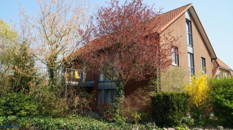 Gastehaus FeWos Boardinghaus Luneburg Sud
