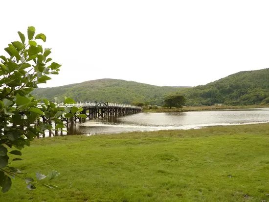Mawddach Valley - Arthog Bog