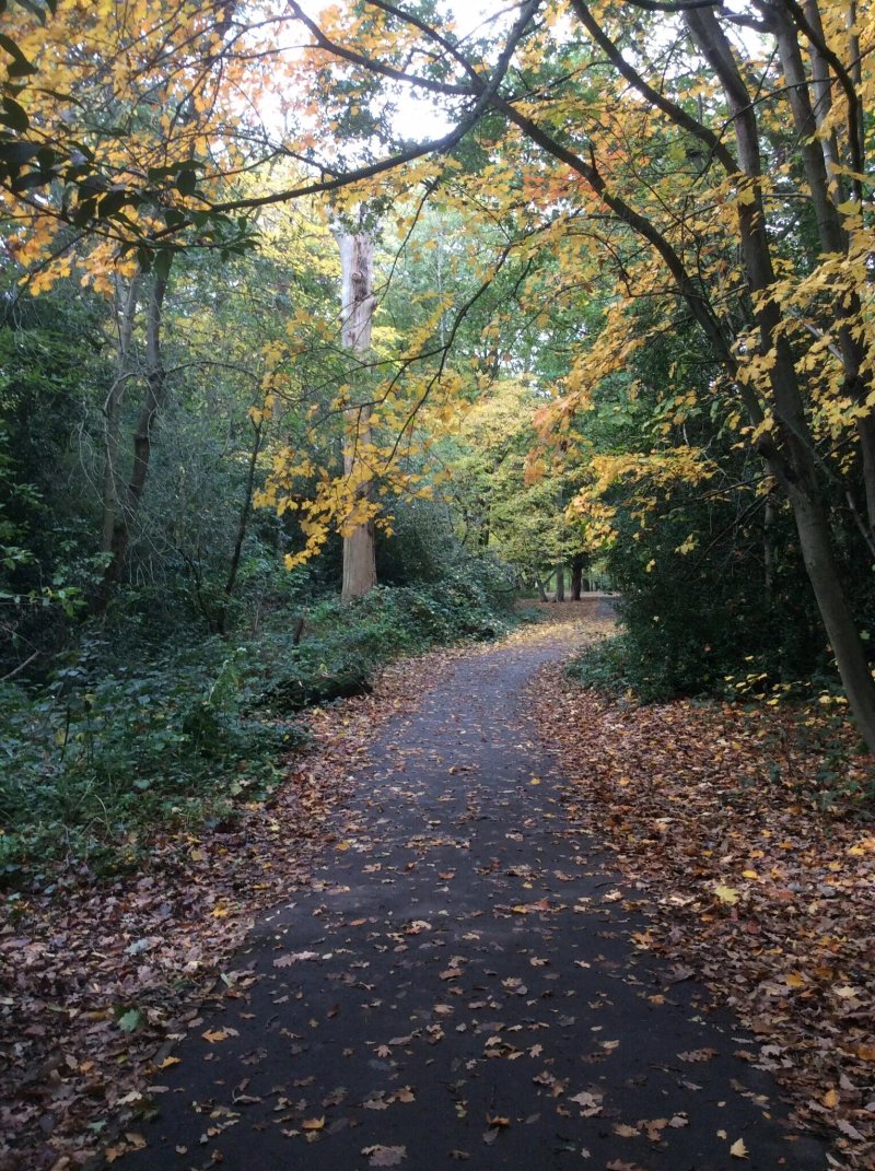 Arnos Park