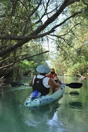 Acheron Delta Kayaking Eco Tour