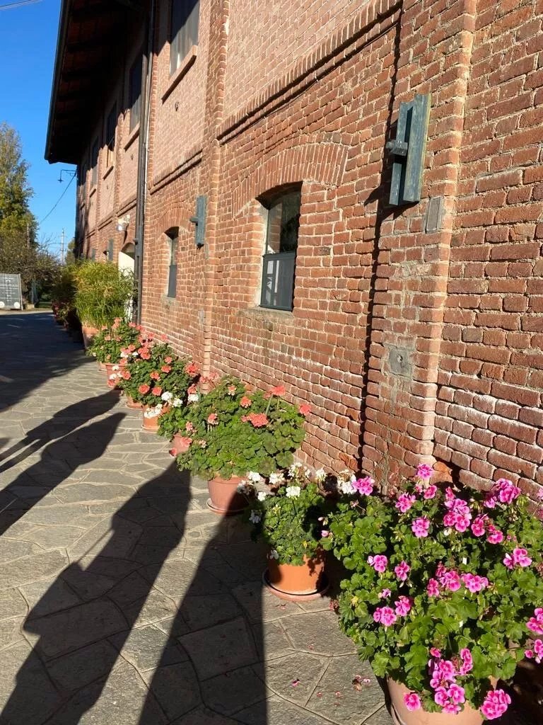 Agriturismo La Margherita