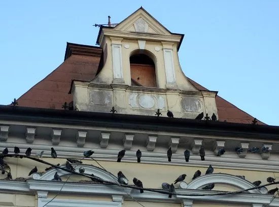 Eklekticisticka medical school building