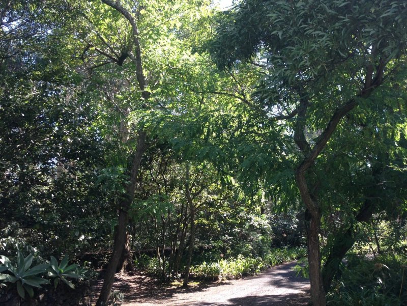 Quinta de São Caetano
