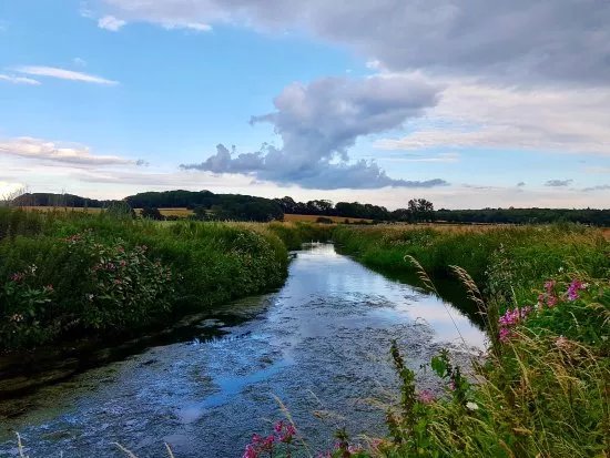Conningbrook Lakes Country Park