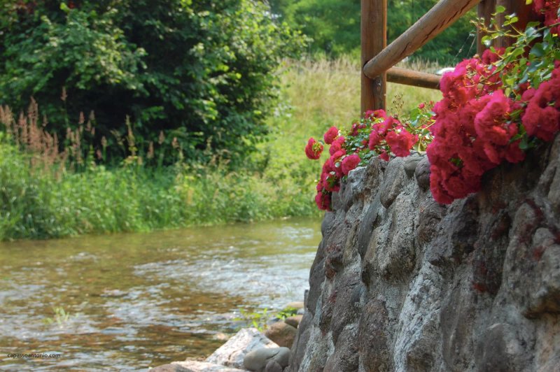 B&B Al Mulino