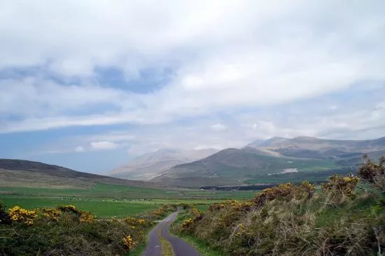 Dingle Tours