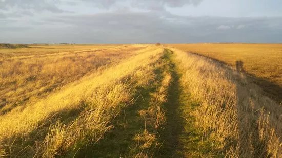 Swale National Nature Reserve