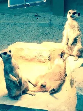 Tierpark Gettorf