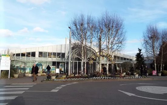 Scotsdales Garden Centre