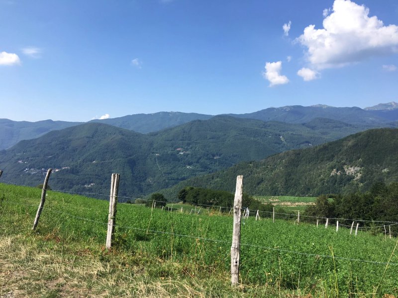 Azienda Bioagrituristica I Taufi