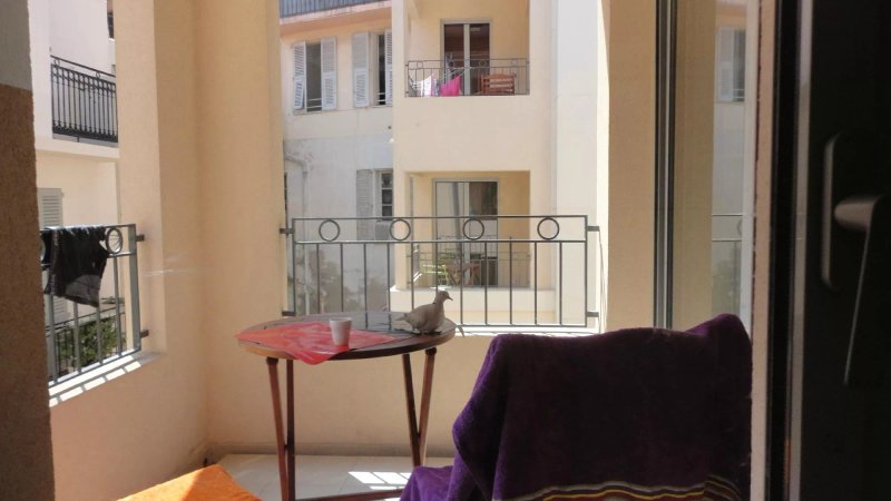 Suite Affaire Cannes Vieux Port