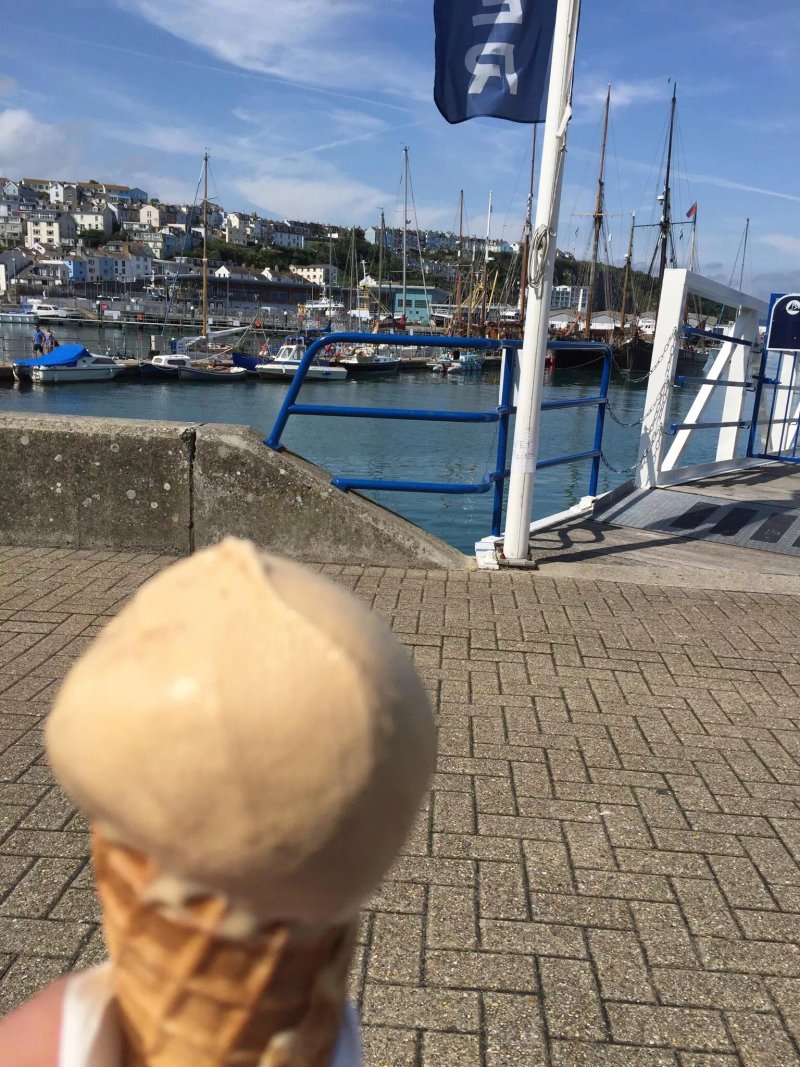 The Bay Ice-Cream Company