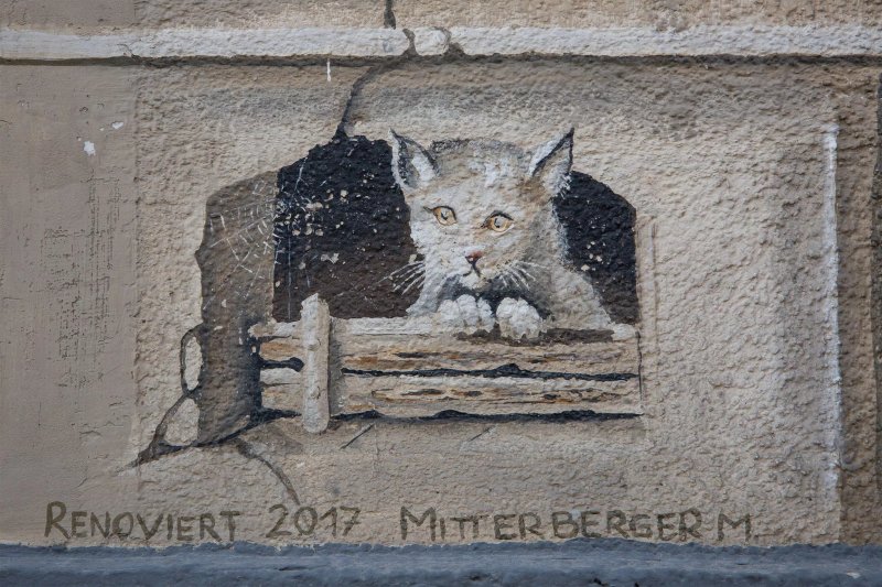 Wieners Naschkatze Cafe