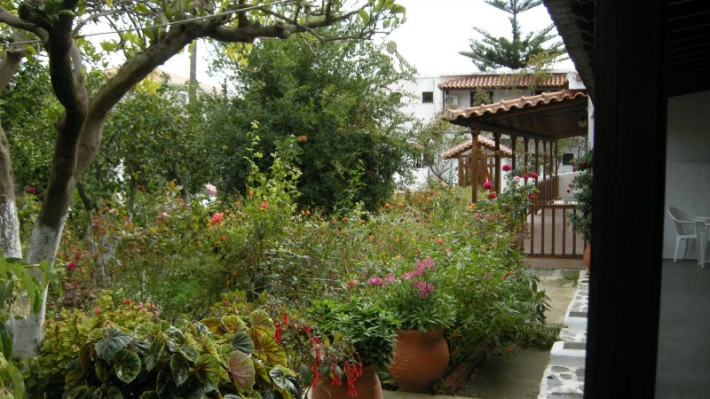 Asimina Studios