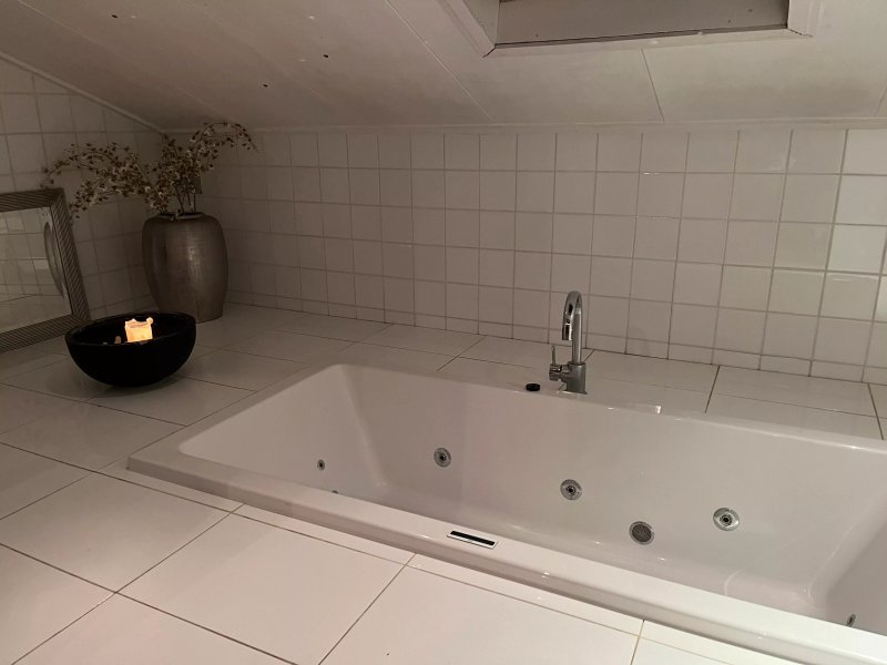 Scandinavisch dorp