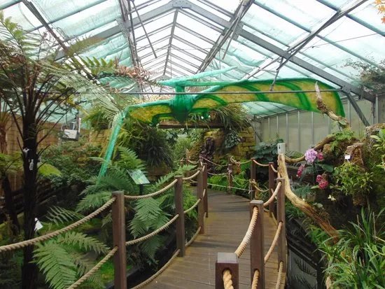 Manor Heath and Jungle Experience