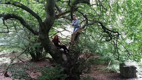 Skrylle Nature reserve