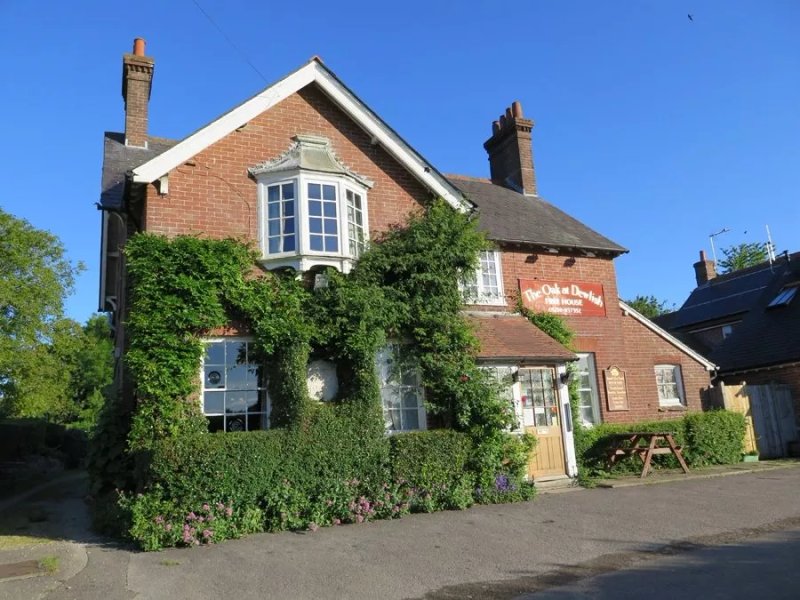 The Oak at Dewlish
