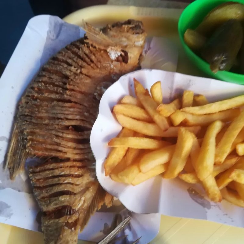 Sio Fish Fryer