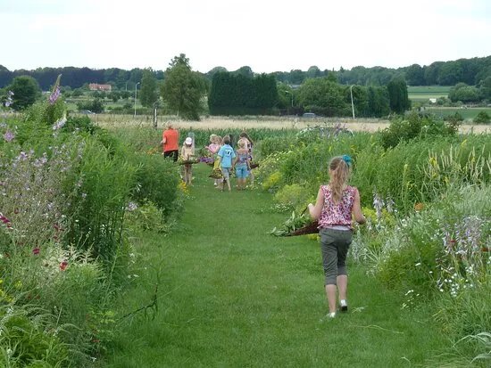 Pluktuin De Bosrand