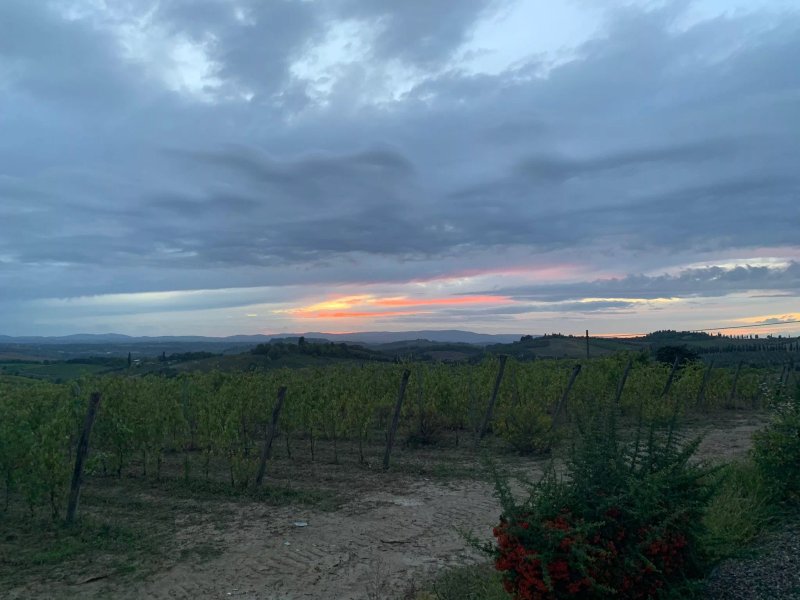 Az.Agr. Poggio Regini