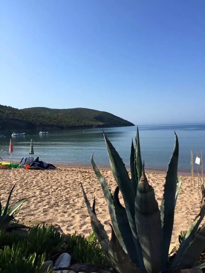 Camping Loutsa