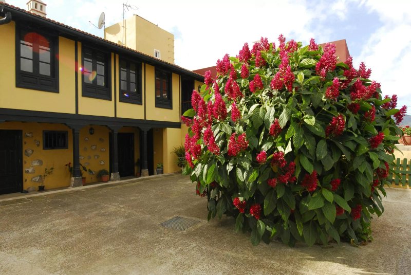 La Finca El Paso