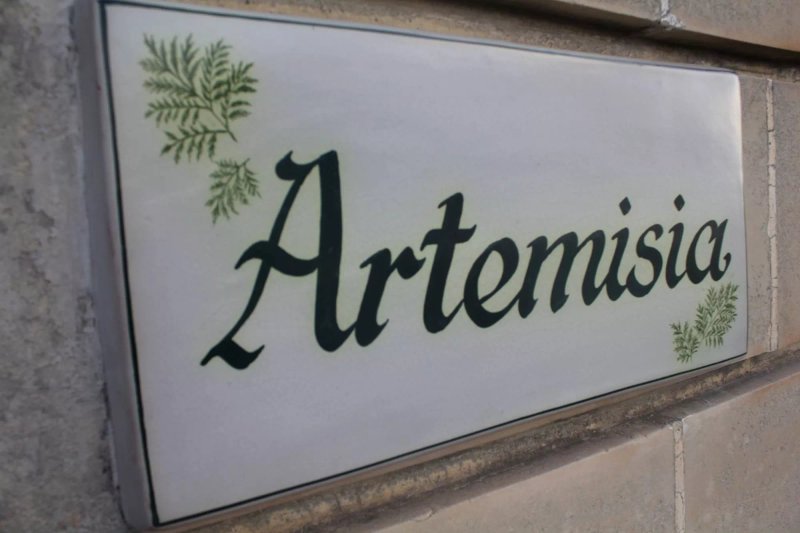Artemisia
