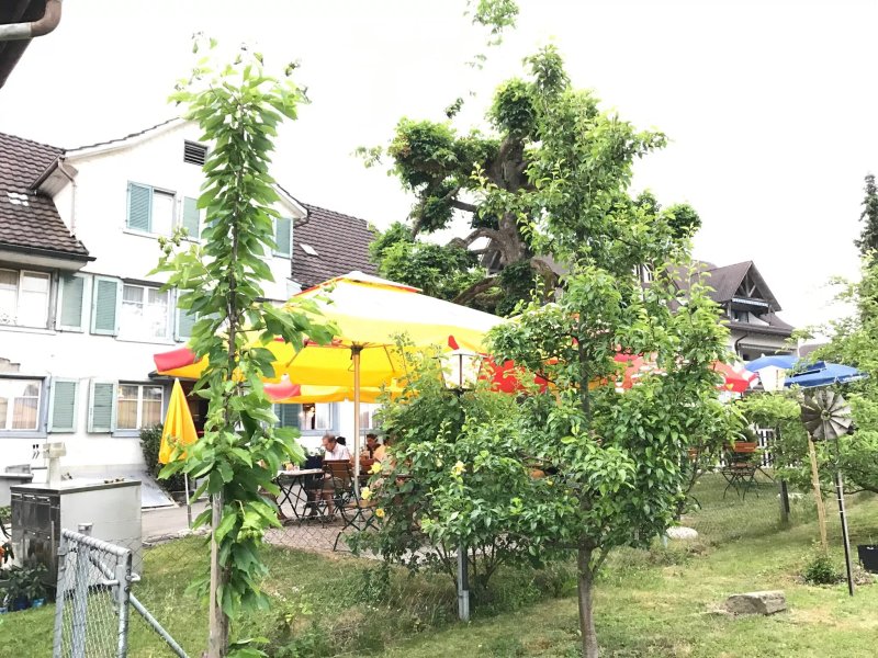 Trattoria Storchen