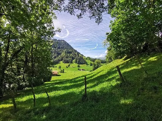 Tellenburg