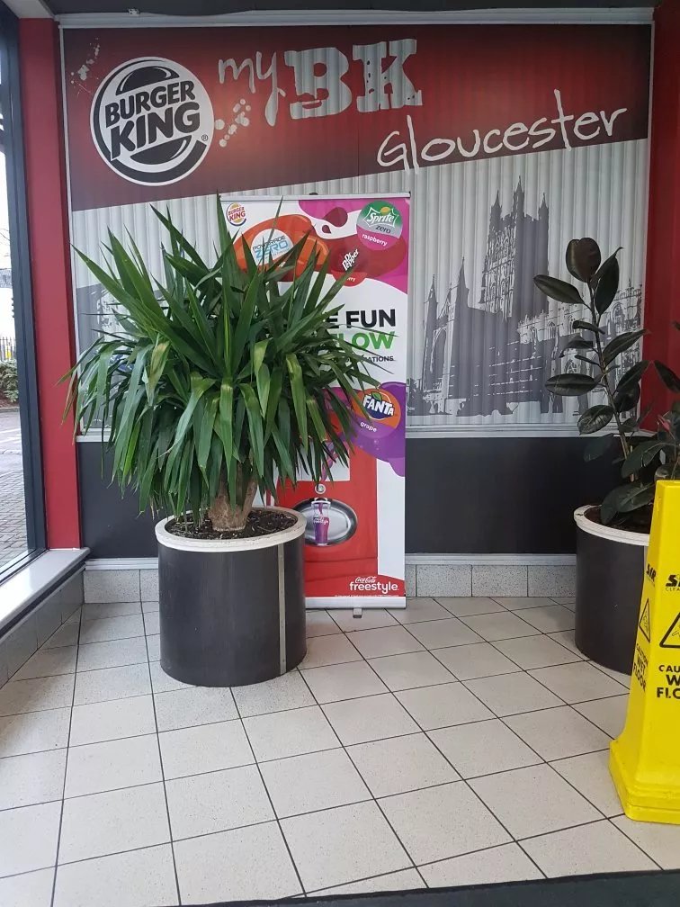 Burger King