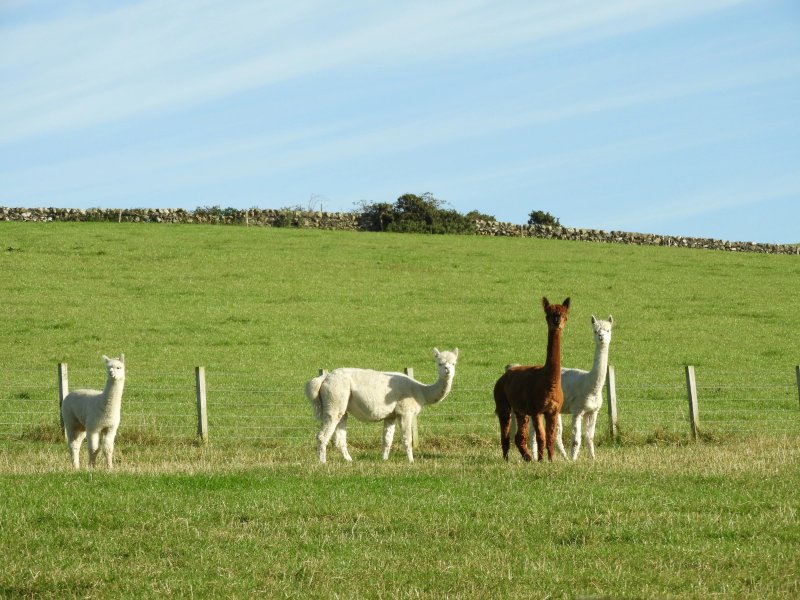 East Challoch Farm