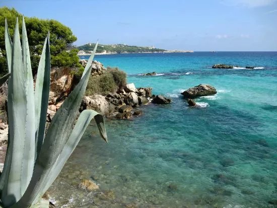Playa de Son Moll