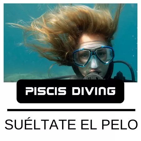 Piscis Diving