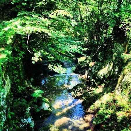 La Cova del Santuari de la Mare de Deu de Lourdes