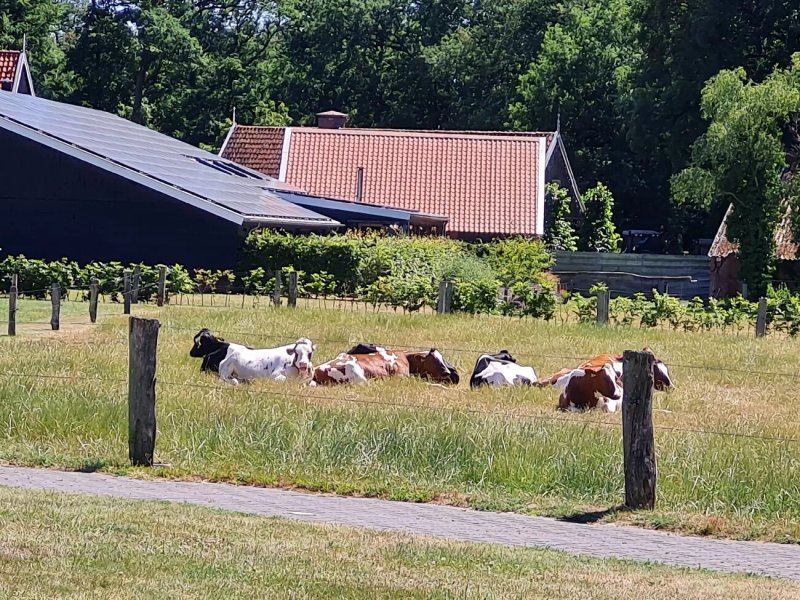Camping Dal van de Mosbeek