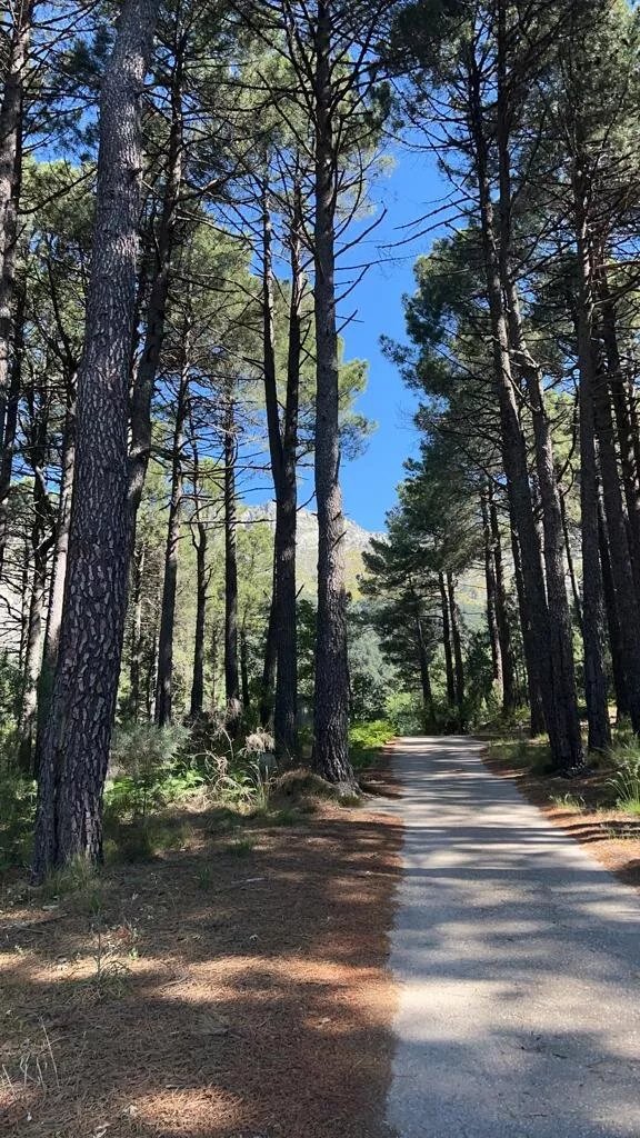 El Pilar de Gredos
