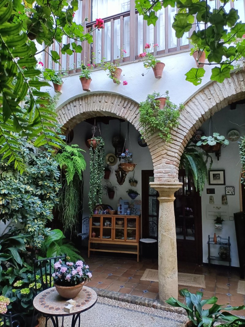 Casa longa
