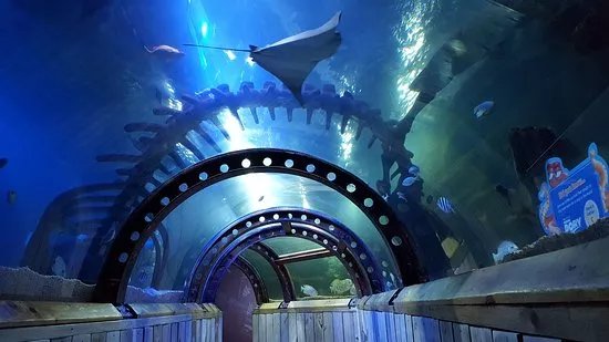 SEA LIFE Hunstanton