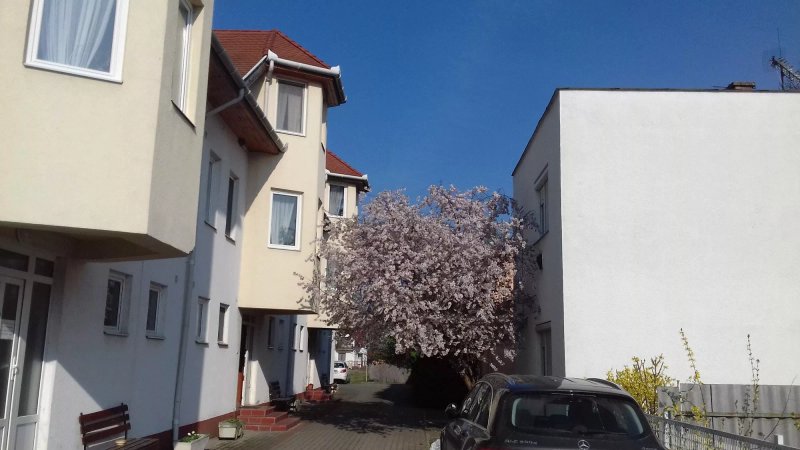 Apartman Pavai-Silye