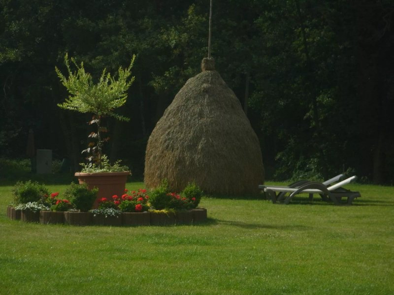Seehotel Burg SPA & Wellness im Spreewald